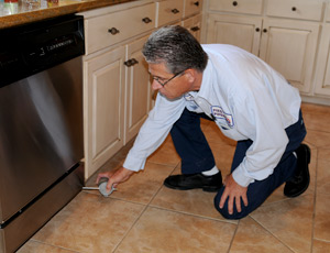 Home Pest Control in The Villages FL